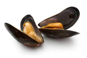 moules